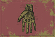 100+ Vintage Anatomy Vectors, a Healthcare Illustration by Shizzle Stock (Thumbnail 7 of 20)