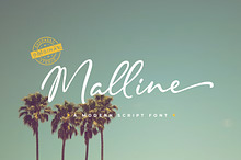 Malline Script
