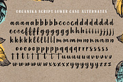 Organika Serif, a Serif Font by Mika Melvas (Thumbnail 9 of 9)