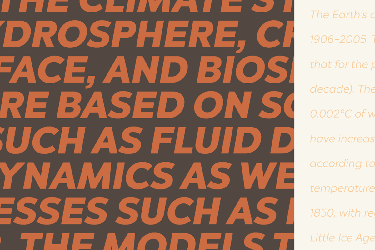 Chronica Pro Family (18 fonts) preview 7