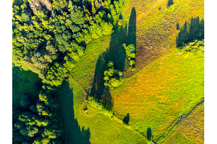Lush green natural landscape with, a Nature Photo by pytyczech