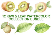12 Kiwi Fruit Clipart Set, an Illustration by hafijul (Thumbnail 1 of 13)