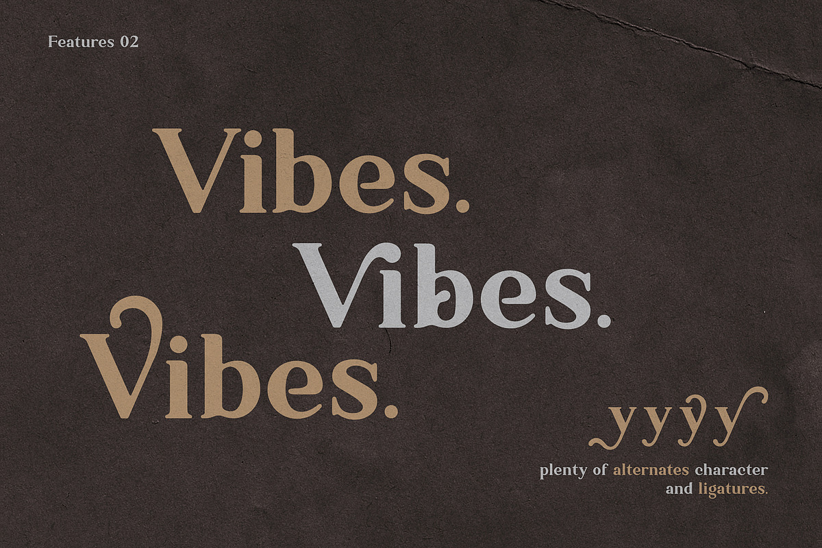 Ambigue Wild Modern x Vintage Serif, a Serif Font by Wandery Supply (Photo 10 of 22)