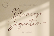 Plumrose Signature Script Font, a Script Font by Typetemp Studio (Thumbnail 1 of 11)