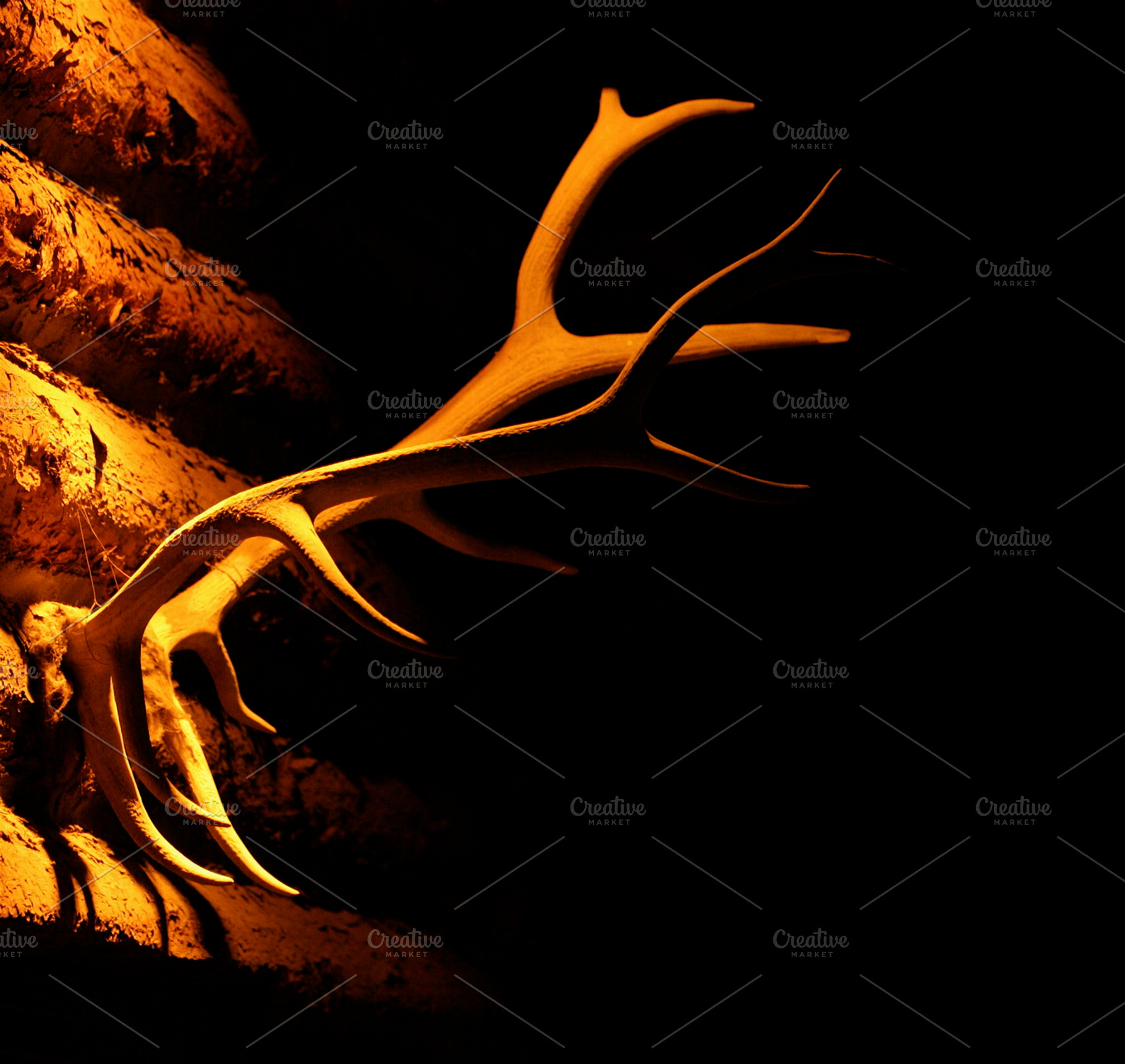 Rustic featuring elk, antlers, and cabin, a Nature Photo by Mr Geoff