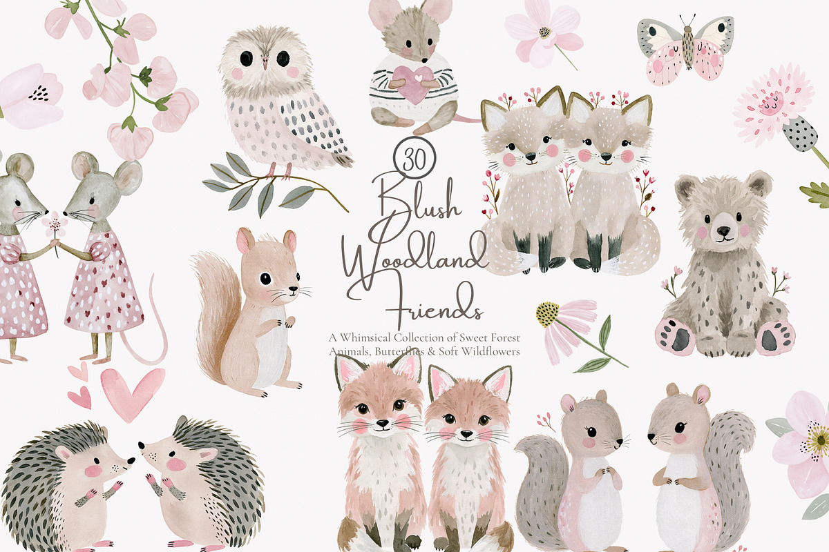 woodland animal clipart set, a Decorative Illustration by Patishop Art (Photo 1 of 7)