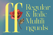 Briglo Shade Elegant Thin Serif, a Serif Font by timelesstype.co (Thumbnail 8 of 15)