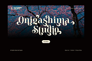 Meagre Display - 90s  Serif Family, a Serif Font by Holyline Design (Thumbnail 11 of 15)