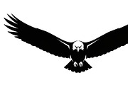 Powerful eagle flying wall art, an Illustration by Amazin_art (Thumbnail 24 of 26)