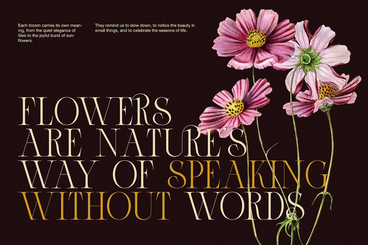 Band Elegant Luxury Serif Font, a Serif Font by Elegant Font (Photo 7 of 8)