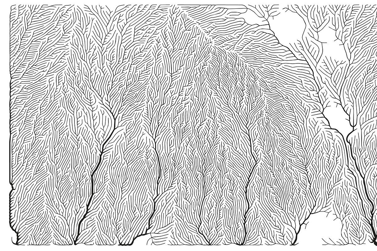 Growth - 50 Backgrounds, a Texture Graphic by GarryKillian (Photo 49 of 51)