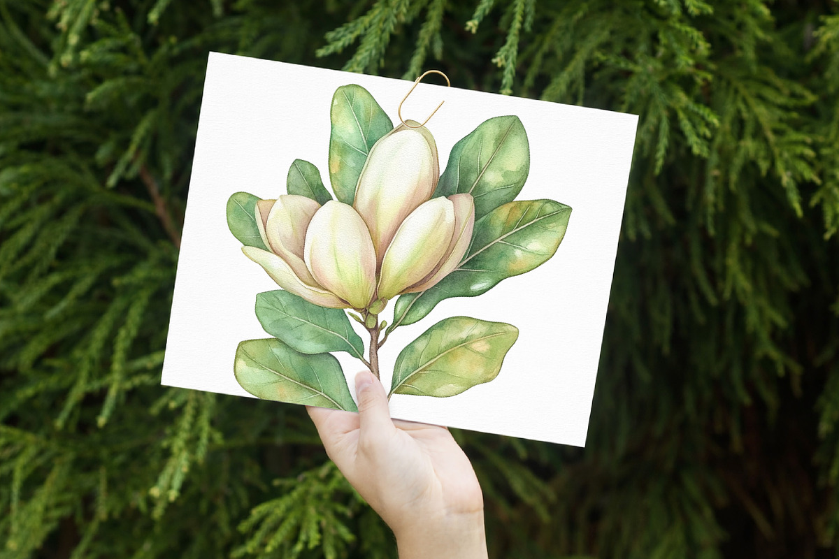 White Magnolia Watercolor Clipart, an Illustration by Libby Wishes (Photo 2 of 7)