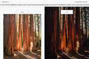 Redwood Sunset - Lightroom Presets, a Preset Add-On by Truesight Supply Co. (Thumbnail 4 of 10)