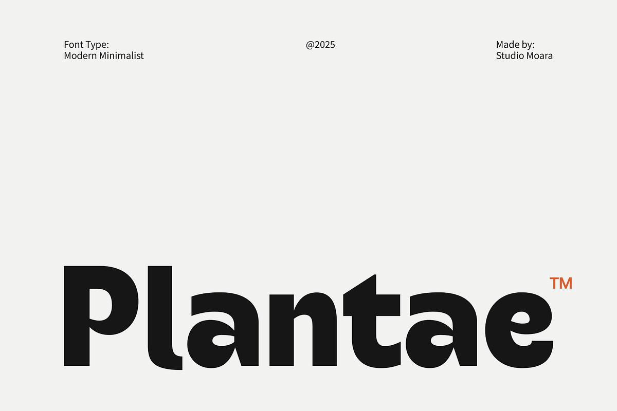 Plantae - Modern Minimalist Font, a Font by Studio Moara (Photo 1 of 8)