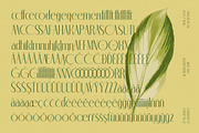 Classic Makore Modern Serif Font, a Serif Font by timelesstype.co (Thumbnail 19 of 20)