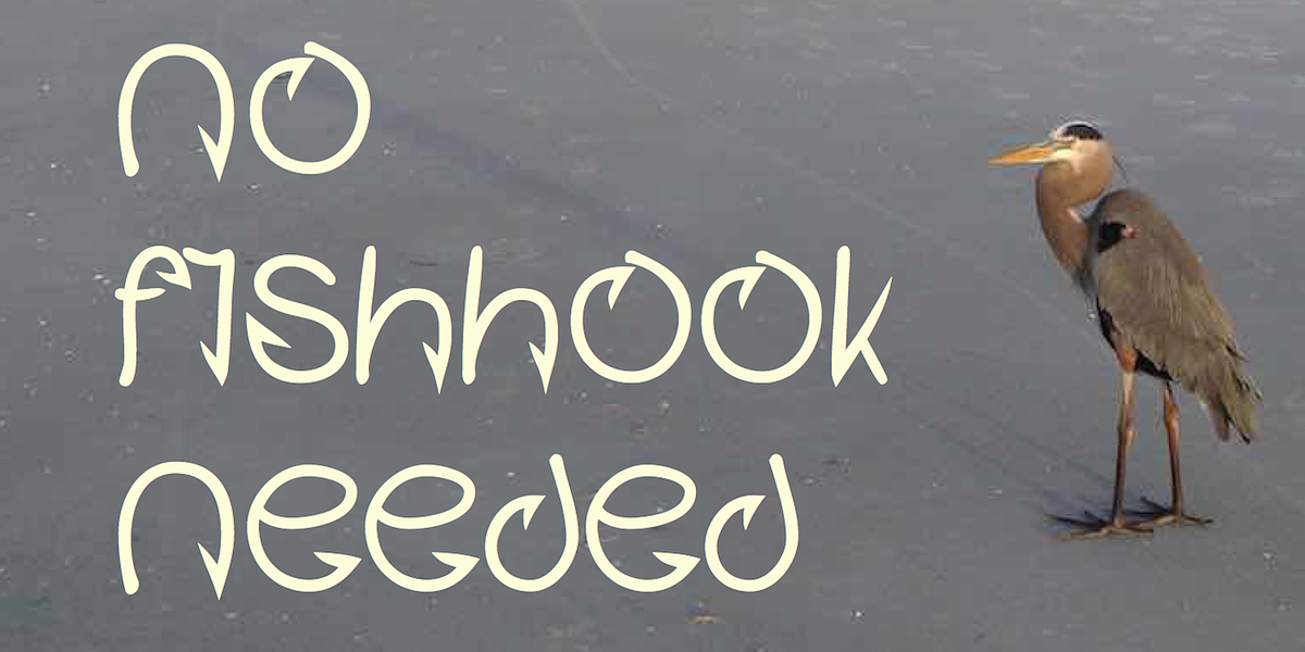 Fishhook, a Font by Ingrimayne Type (Photo 1 of 6)