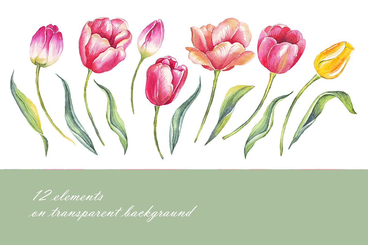 Spring flowers bundle PNG + patterns, an Illustration by Alena Kurian (Photo 6 of 10)