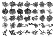 Tree Brushes - Willow Edition, a Brush Add-On by xresch (Thumbnail 23 of 27)