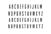 Gayora Slab Serif | Duo Font, a Slab Serif Font by Creativetacos (Thumbnail 2 of 8)