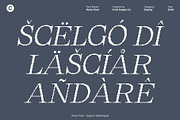 Renly Pixel, a Serif Font by Craft Supply Co. (Thumbnail 7 of 8)