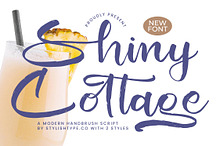 Shiny Cottage Modern Handbrush Font