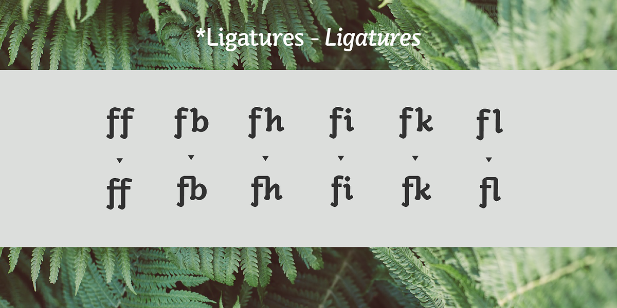 Kamado, a Sans Serif Font by Hashtag Type (Photo 7 of 9)