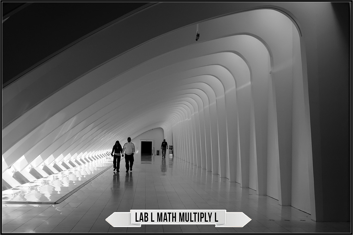 LAB Color V. 2 - Monochrome profiles, a Plug-in Add-On by Raztrend (Photo 17 of 30)