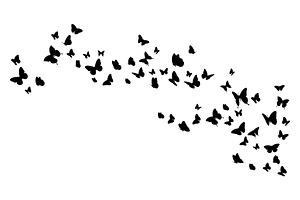 Flock Of Black Butterflies