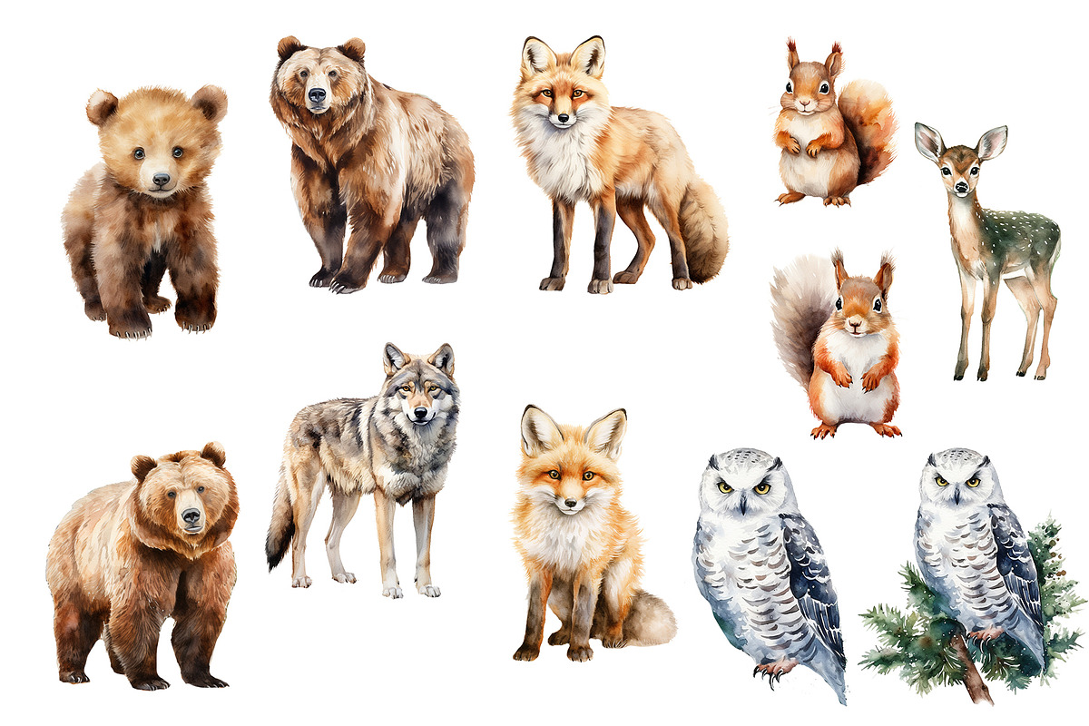 Watercolor forest animals clipart, an Object Graphic by KomtsyanTatyanaArt (Photo 3 of 10)