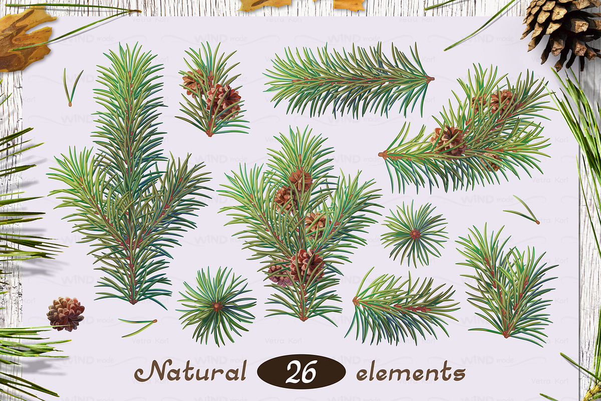 vector SET Winter Forest, an Animal Illustration by WINDmade (Photo 2 of 19)