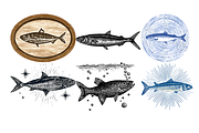 Sardines Clipart, a Decorative Illustration by stickermadness (Thumbnail 3 of 4)