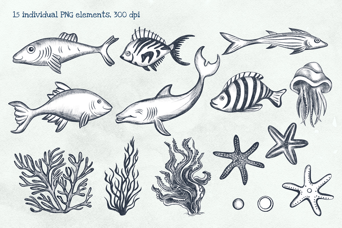 Sea Animals Pencil Clipart, an Illustration by Hanna's ArtLab (Photo 3 of 4)