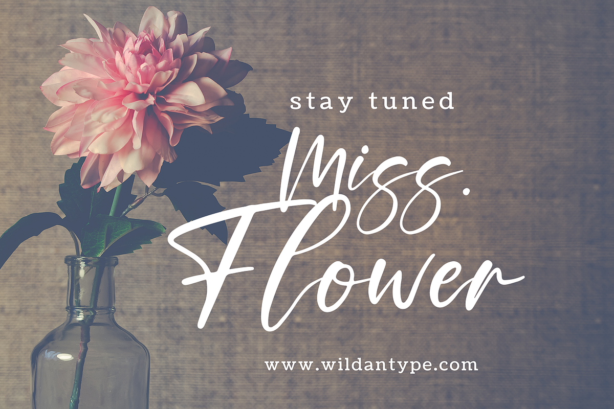 Modern Signature Bundle, a Script Font by Wildan Type (Photo 10 of 12)