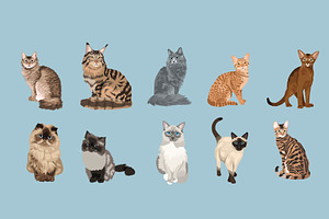 Cat Breeds Clip Art Illustrations