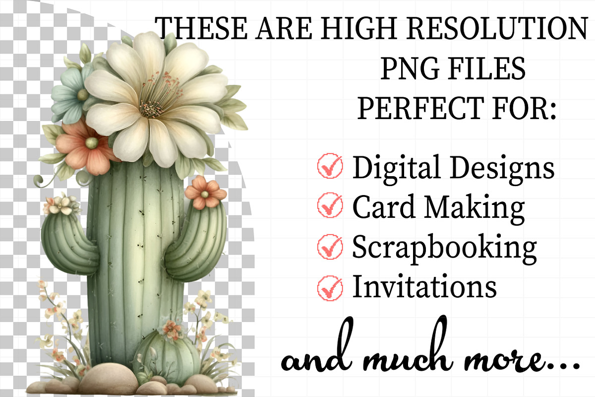 Whimsical Summer Clipart, an Illustration by Daily.Designs (Photo 2 of 7)
