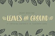 Leaves and Ground - SALE - 60% OFF, a Script Font by StereoType (Thumbnail 1 of 10)