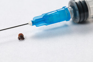 Mite and syringe tool featuring acarian, tick, and acarid