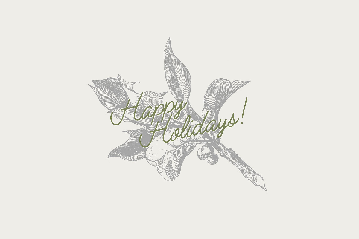 29 Branches, Twigs & Leaves (+Bonus), an Illustration by Century Library (Photo 8 of 8)
