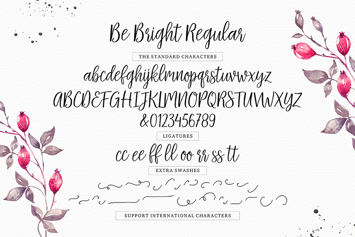 Be Bright + Swashes, a Script Font by Seniors (Photo 9 of 9)
