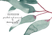 Elegant Watercolor Eucalyptus Leaves, a Texture Illustration by MaraquelaStudio (Thumbnail 9 of 9)