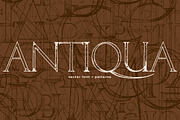 ANTIQUA Vector Font + Patterns, a Pattern Graphic by ekaart (Thumbnail 1 of 10)