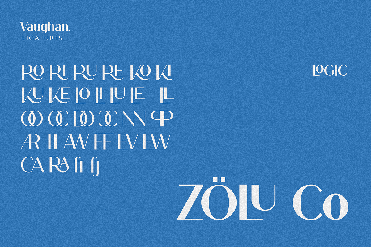 Vaughan Sans, a Sans Serif Font by FactoryType Studio (Photo 10 of 12)