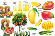 Watercolor Mango collection, a Food Illustration by Ekaterina Glazkova (Thumbnail 2 of 6)