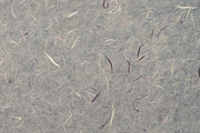 7 Mulberry Paper Textures, a Texture Graphic by Mokr (Thumbnail 7 of 8)