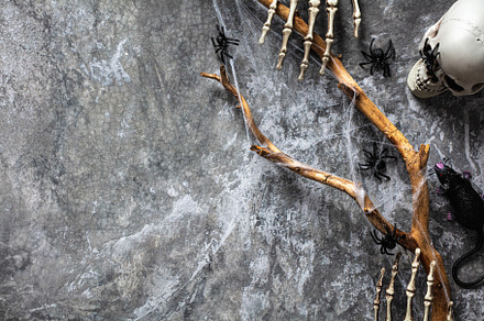 Scary Halloween background with skeleton hands, skull, tree branch with web, sp, a Holiday Photo by photoguns