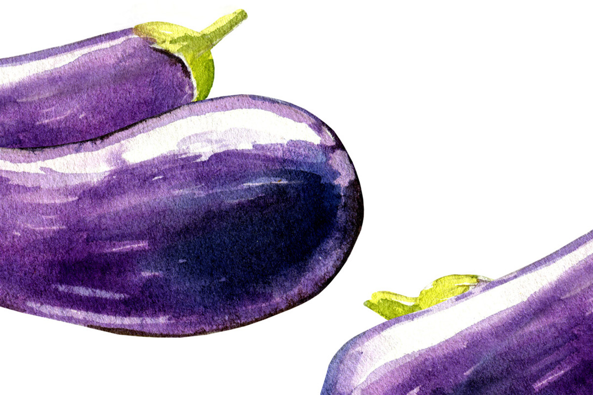 EGGPLANT WATERCOLOR SET, a Food Illustration by wedraw (Photo 2 of 4)