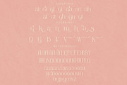 aimstesa stylish serif font, a Serif Font by Storytype Studio (Thumbnail 14 of 15)