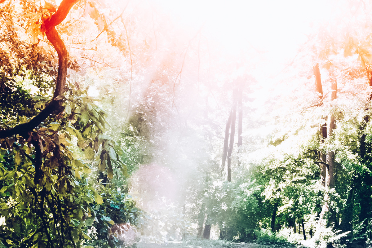 BRIGHT SUMMERS MOBILE LR PRESET, a Preset Add-On by Fltrr Lightroom Presets (Photo 7 of 14)