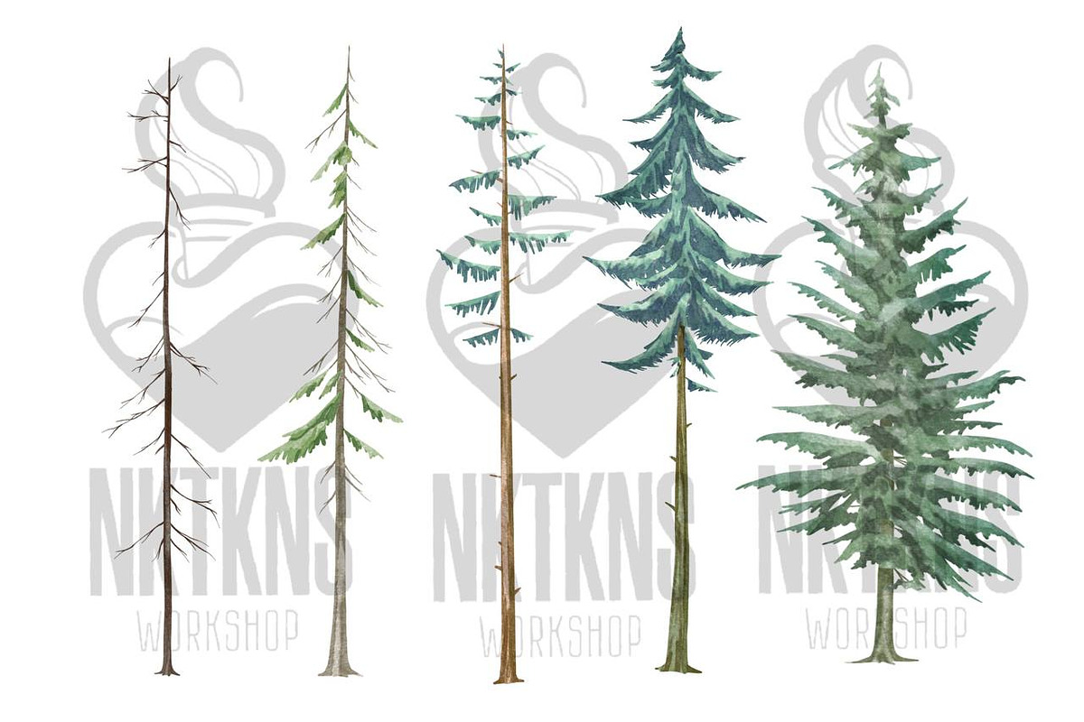 Forest Watercolor Woods Pine Tree, an Illustration by NKTKNS (Photo 2 of 7)