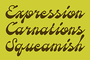 SFC Missane - Elegant Bold Script, a Script Font by Skilline Supply Co. (Thumbnail 3 of 10)